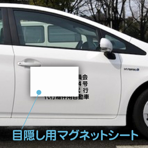 目隠用マグネットシート白310×550